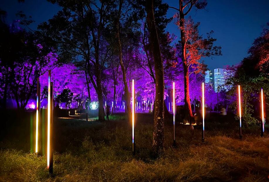 Foto: Omar Moreno. El Universal