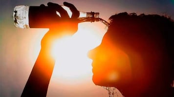 Temporada de calor 2026: ¿cuándo comienza en México?; lista de estados con temperaturas extremas