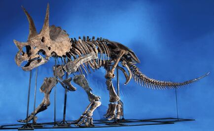 Mexican paleontologists uncover bone pathologies in dinosaurs