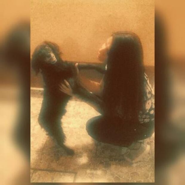 Ésta es la mejor manera de celebrar el Día Mundial del Perro