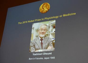 Nobel de Medicina reconoce descubrimiento de los mecanismos de la autofagia