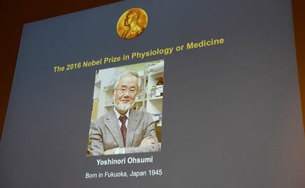 Nobel de Medicina reconoce descubrimiento de los mecanismos de la autofagia