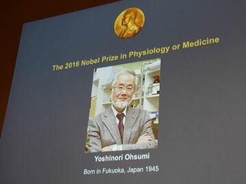 Nobel de Medicina reconoce descubrimiento de los mecanismos de la autofagia