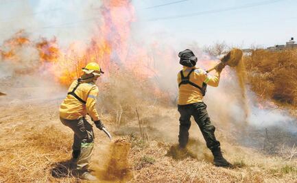 70% de incendios han sido provocados