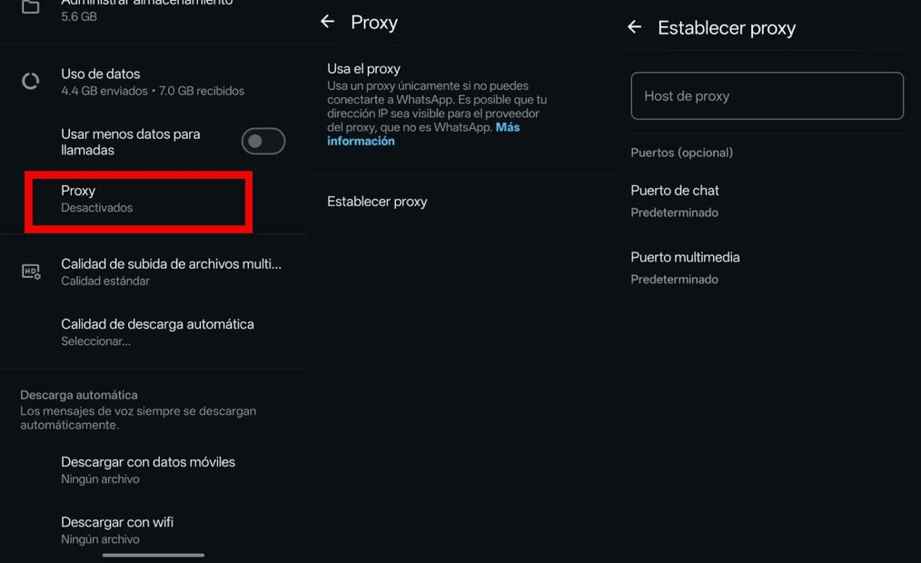 Paso a paso: cómo usar WhatsApp sin internet. Imagen: captura de pantalla