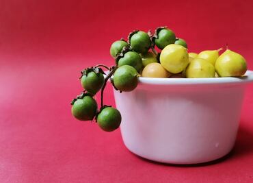 El alimento rico en proteína C que combate la oxidación de la piel