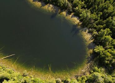 ¿Qué es el Antropoceno y por qué científicos dicen que el planeta entró en esa etapa?