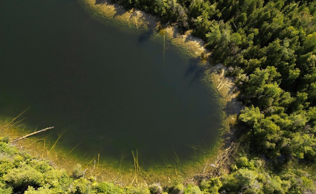 Un equipo de científicos recomendó que el inicio de una nueva época geológica definida por el impacto del ser humano en la Tierra debería ser conmemorada en el lago ubicado en las afueras de Toronto, Canadá. Foto: AP