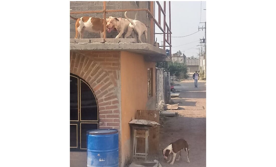 Fotografía: Especial