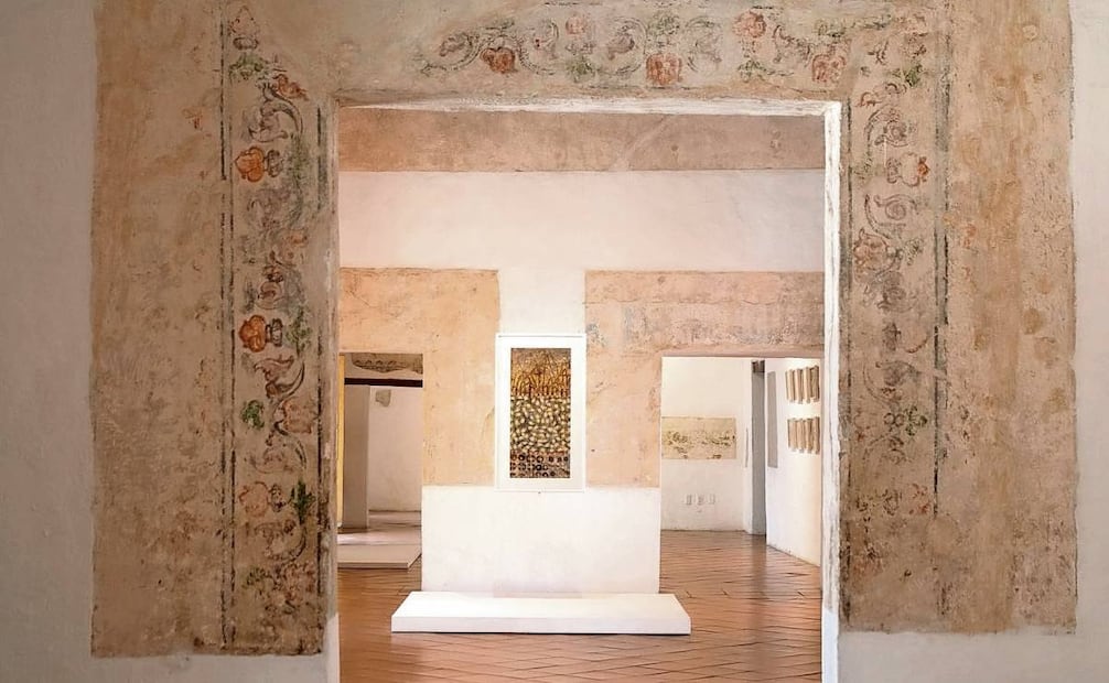En esta fotografía, subida en la cuenta oficial de Facebook del museo en 2022, se puede ver exhibida una obra de Francisco Toledo. Foto: Facebook MACO Oficial