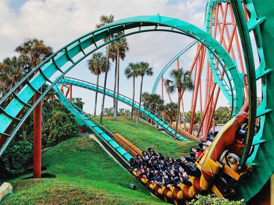 Velocidad, altura y vueltas, una gran combinación. Foto: Unsplash