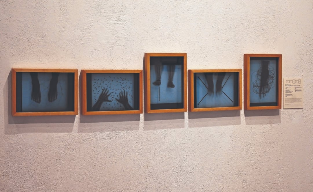 Daniel Brena explica que en México el uso de rayos X para la foto reflexiona sobre la muerte, ya que ésta a veces es representada con los huesos humanos. Foto: Daniel Brena