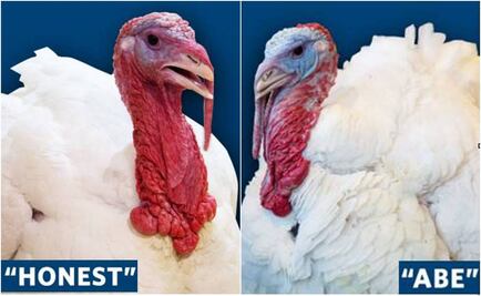 Obama salva la vida a dos pavos de Acción de Gracias