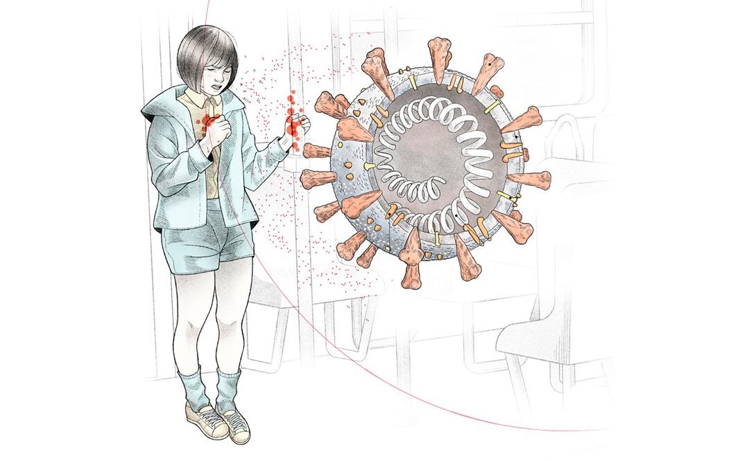 Anatomía del virus que infectó al mundo