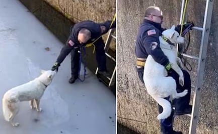 Rescate de perrito que cayó a un estanque de agua congelada en EU se viraliza