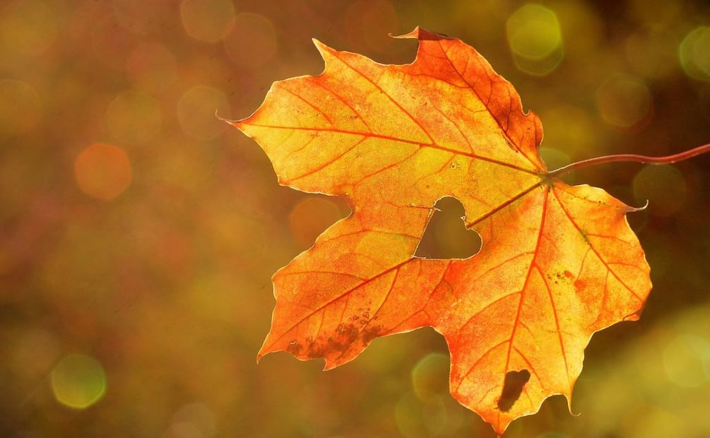 Equinoccio de otoño 2026. Fuente: Pixabay