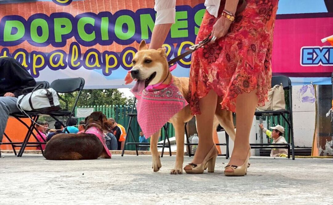 Foto @Del_Iztapalapa