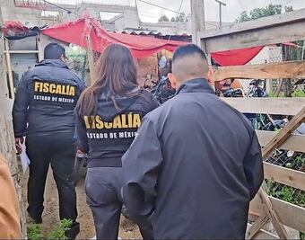 Aumentan 4 delitos en la CDMX y el Edomex