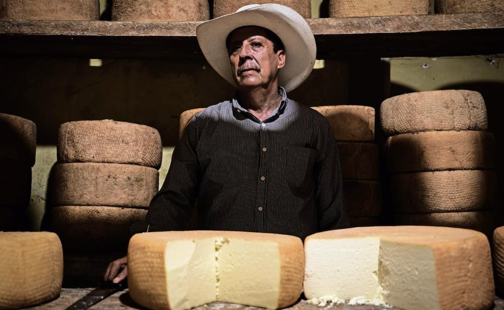 Productores de queso cotija luchan por conservar la tradición artesanal