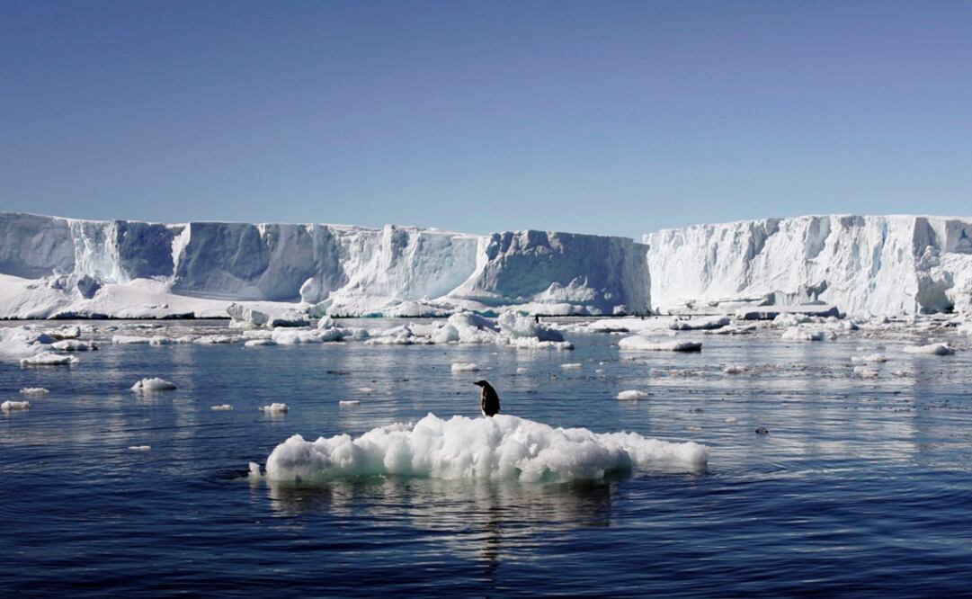 Dumont d’Urville in East Antarctica - Photo: Pauline Askin/REUTERS