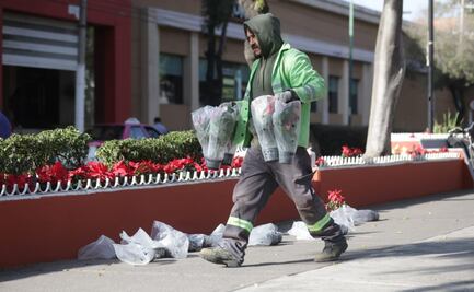 Alistan inmediaciones de la Basílica para recibir a peregrinos; repavimentan, revisan alumbrado y adornan Calzada de Guadalupe