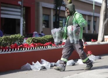 Alistan inmediaciones de la Basílica para recibir a peregrinos; repavimentan, revisan alumbrado y adornan Calzada de Guadalupe