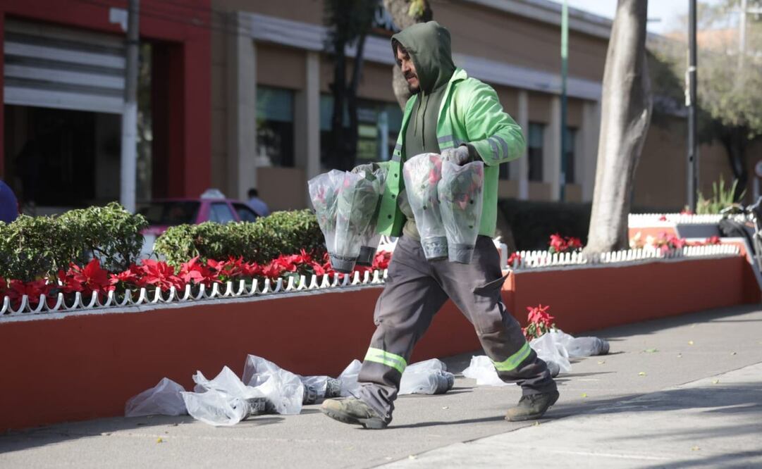 La Alcaldía Gustavo A Madero operó una remodelación de la Calzada Guadalupe en vísperas de la masiva peregrinación por día de la Guadalupana (03/12/2024). Foto: Francisco Rodríguez / EL UNIVERSAL