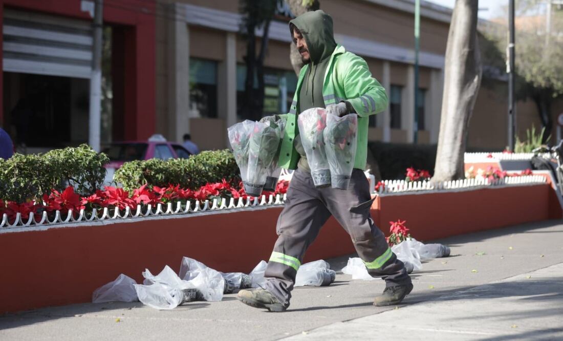 La Alcaldía Gustavo A Madero operó una remodelación de la Calzada Guadalupe en vísperas de la masiva peregrinación por día de la Guadalupana (03/12/2024). Foto: Francisco Rodríguez / EL UNIVERSAL