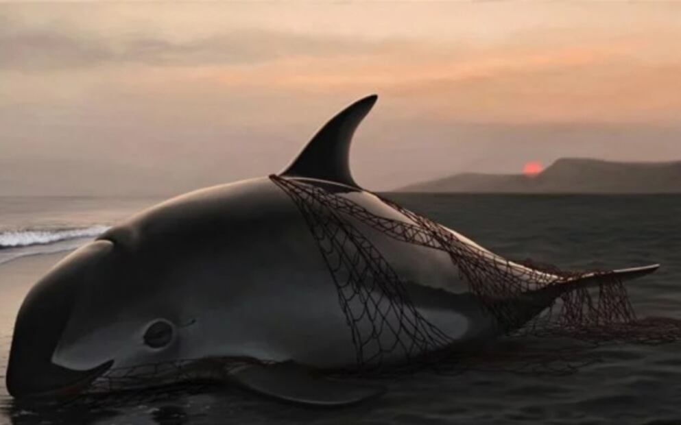 Este Patrimonio Mundial de México está en peligro: Unesco