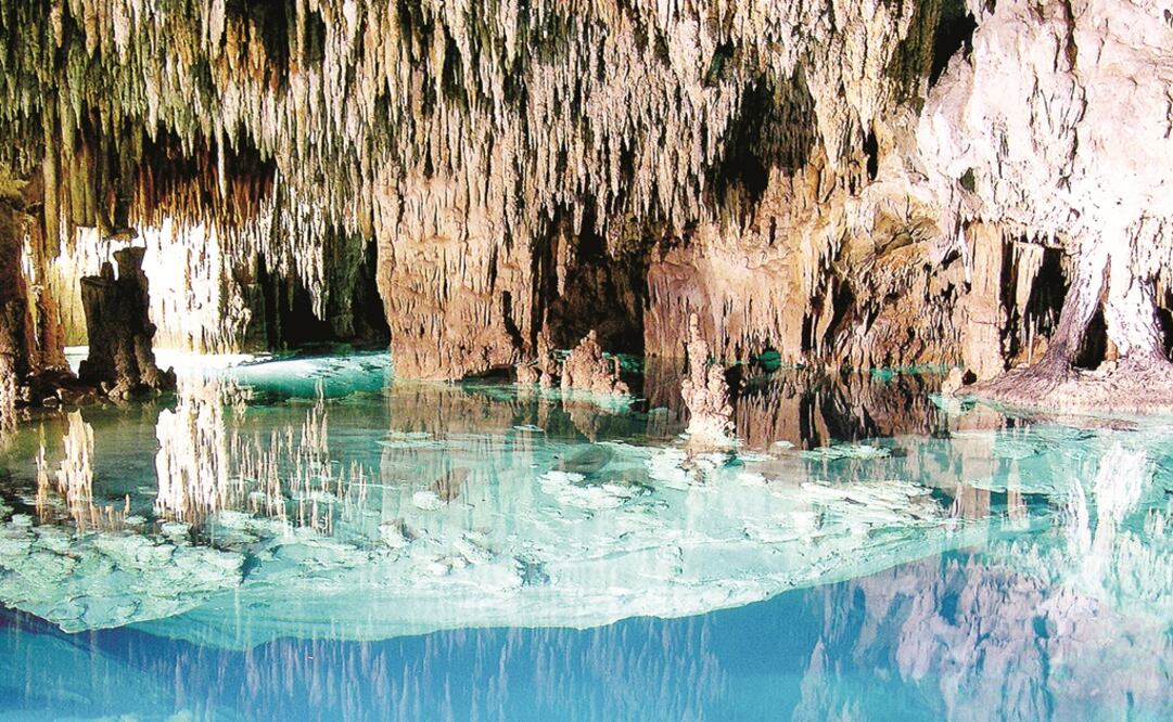 Cenotes are natural pits, or sinkholes, resulting from the collapse of limestone bedrock that exposes groundwater underneath – Photo: File photo/EL UNIVERSAL