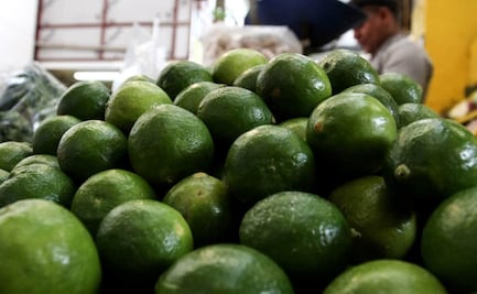 Gobierno federal intervendrá para revisar alza de los precios del limón por efecto de intermediarios