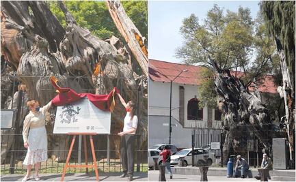El árbol de los mitos y leyendas de la 4T