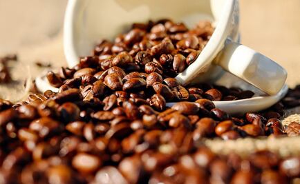 Precios mundiales castigan a cerca de 500 mil productores mexicanos del café