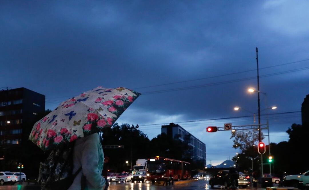 Foto: Archivo. EL UNIVERSAL