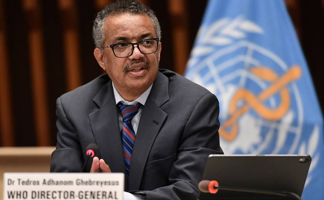Tedros afirmó hoy que los resultados del panel "no se dejarán en una estantería para que se llenen de polvo" sino que serán cuidadosamente analizados (Foto: EFE)