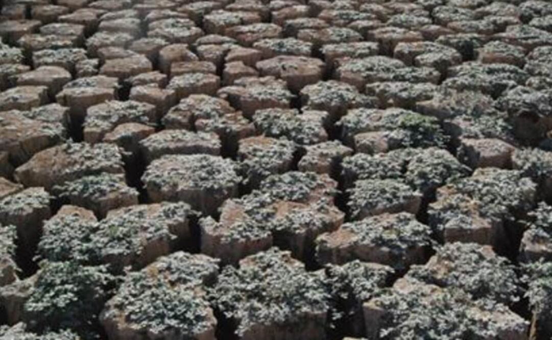 Se conoce como sembrado de nubes. Foto: Archivo