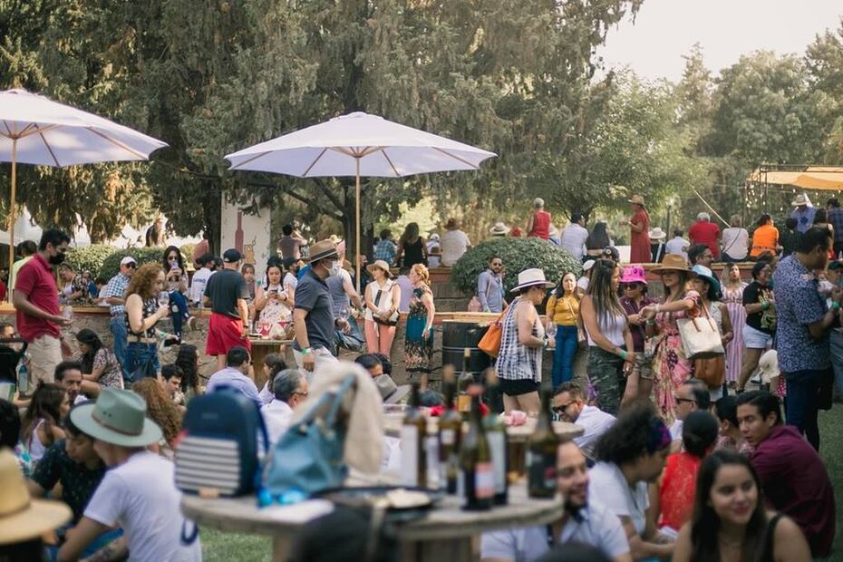 Foto: Feria Nacional del Queso y el Vino