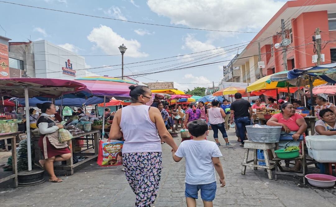 Fotos: Roselia Chaca