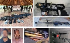 Operativo tras balacera en Los Cabos deja detenidos; aseguran armas, explosivos y un tigre