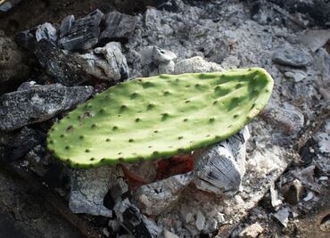 10 beneficios de comer nopales
