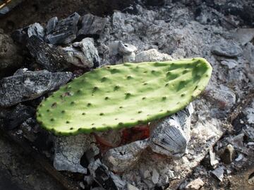 10 beneficios de comer nopales
