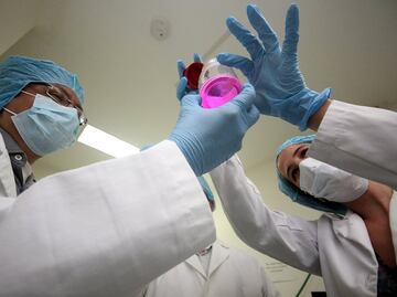 Crean células que generan insulina para tratar diabetes