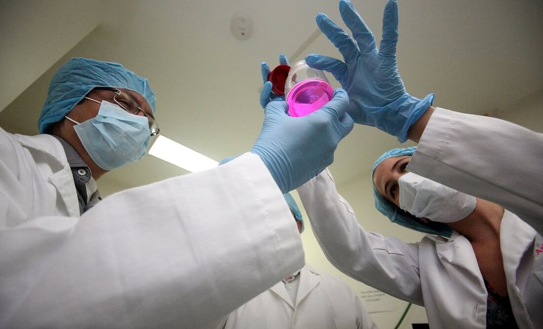 Imagen ilustrativa de aspectos en laboratorio de desarrollo e investigacion de celulas madre. Foto: Archivo