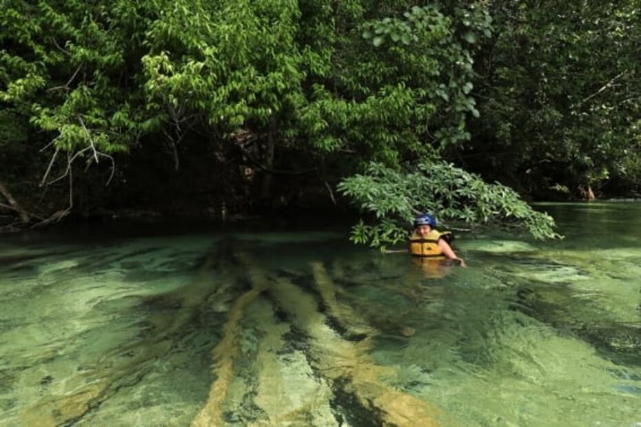 Chiapas: qué hacer en la selva Lacandona