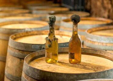 Hungría, más allá del vino Tokaji