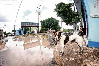 Lluvias afectan 600 casas en Querétaro