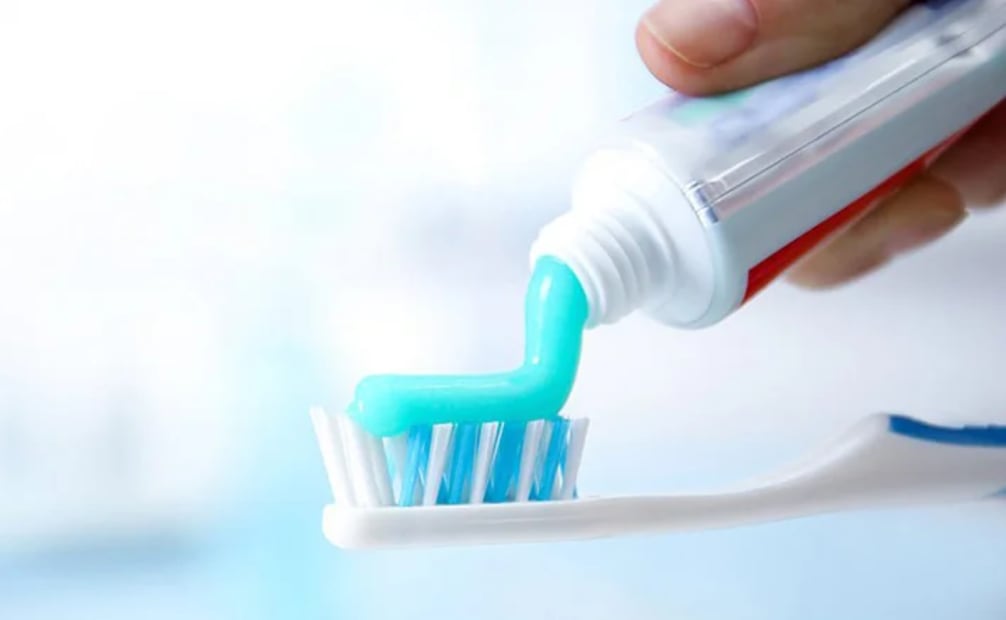 Tu cepillo de dientes puede albergar millones de microorganismos, entre ellos bacterias, hongos y virus. Foto: Canva