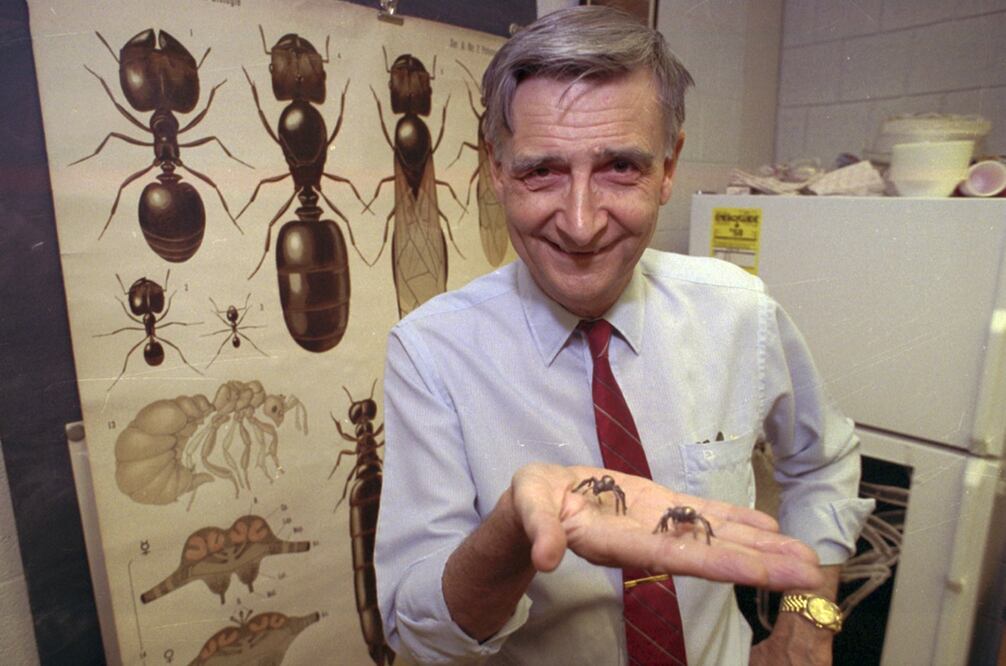 Edward O. Wilson. Foto: AP, archivo