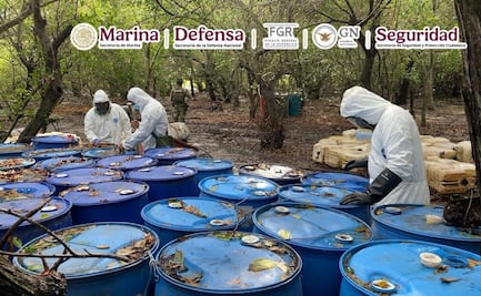 Desmantelan narcolaboratorio en San Blas, Nayarit; aseguran cerca de 12.8 toneladas de metanfetamina