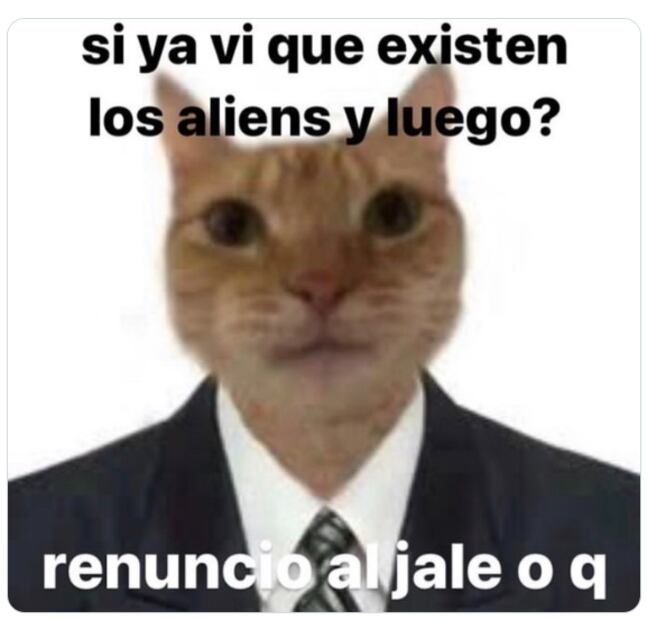 Captura vía Twitter.